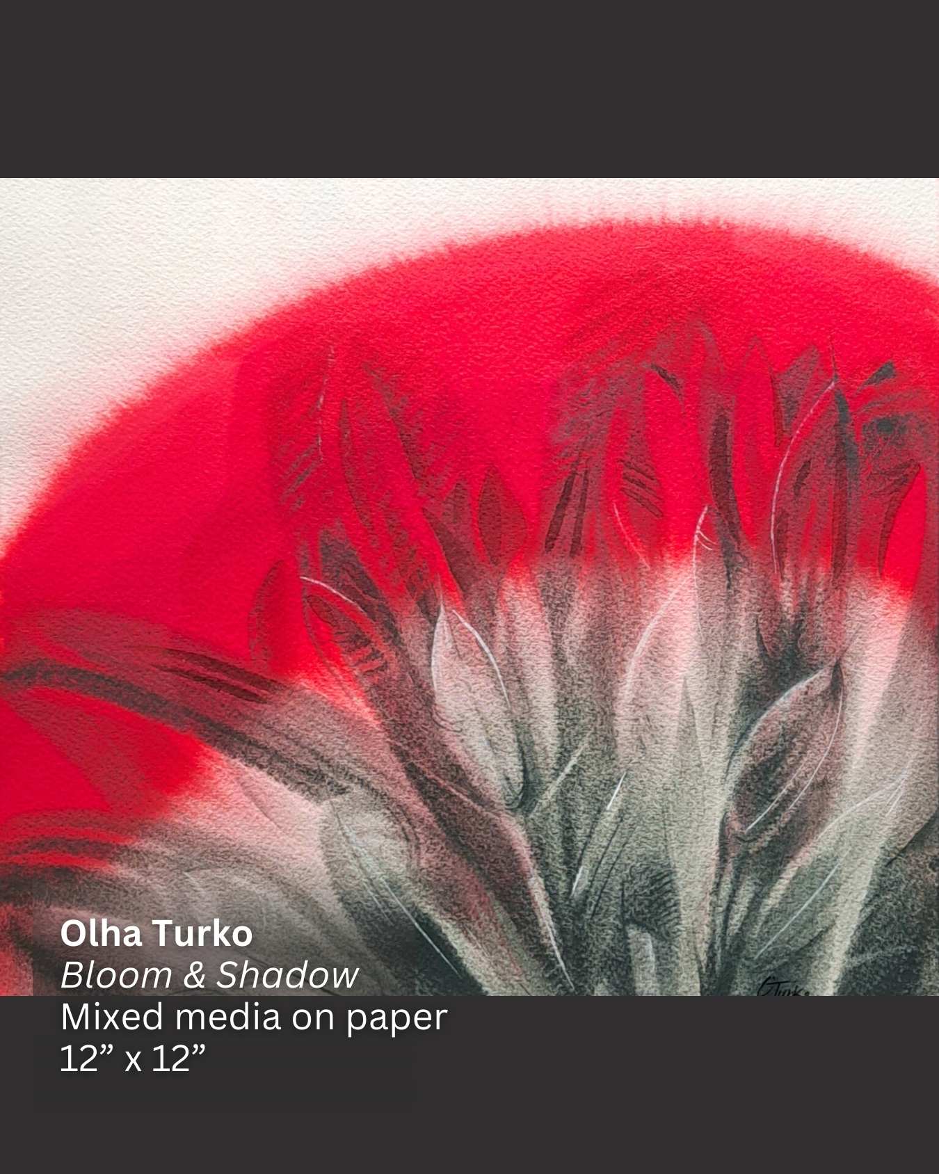 EXPRESSIONS | Feb 2 - Mar 9, 2026