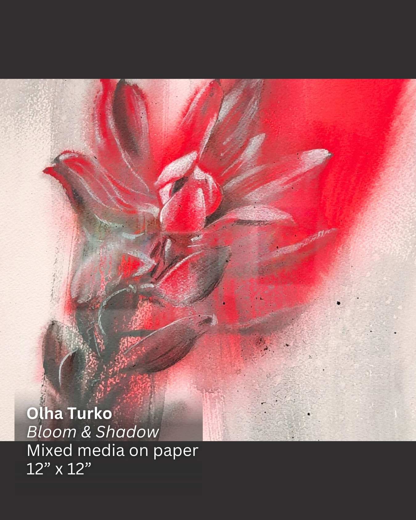 EXPRESSIONS | Feb 2 - Mar 9, 2026